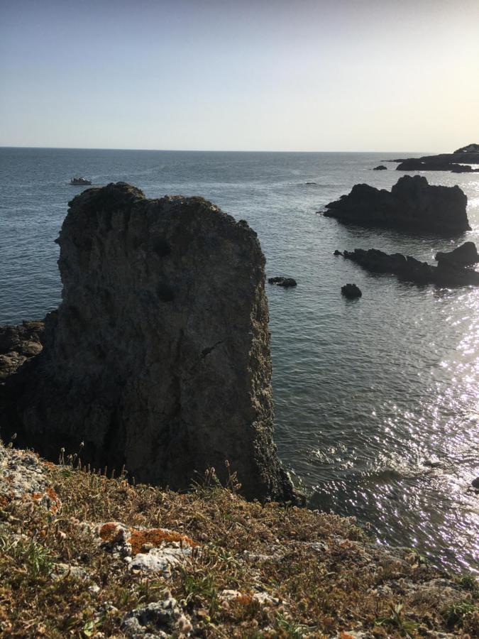 Appartement Dans La Villa Colibri, La Baule Εξωτερικό φωτογραφία